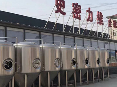黄冈精酿啤酒设备厂—如何判断精酿啤酒设备的密封件需要更换?